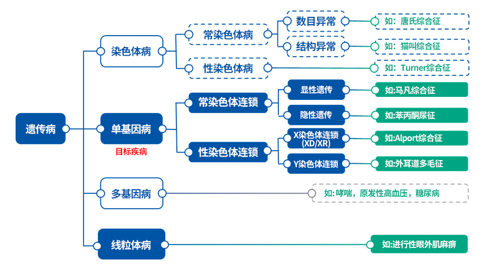 ob体育app下载